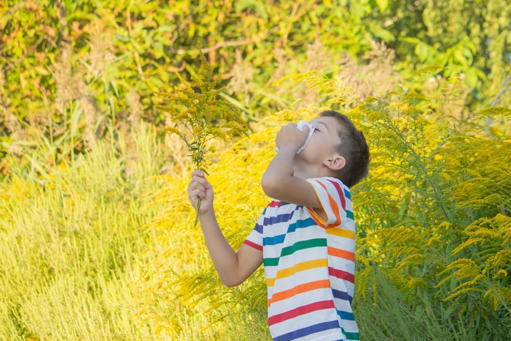 bambino starnutisce per allergia alle graminacee