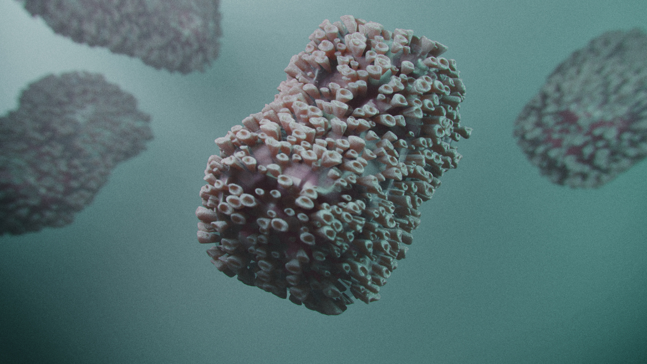 immagine virus del vaiolo delle scimmie