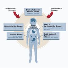 Logo Alint Logopedia Integrata