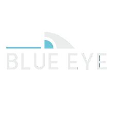 Logo Blue Eye Srl