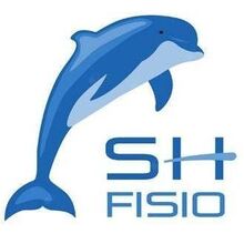 Logo Sport Health fisioterapia