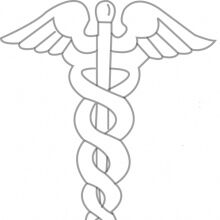 Logo Studio Medico Picano